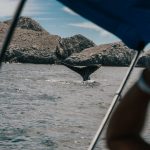 https://cuatrimotostours.com